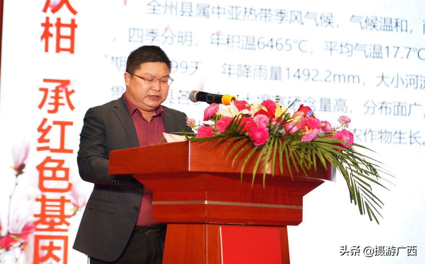 沃柑广西沃柑超甜,广西全州沃柑最新消息