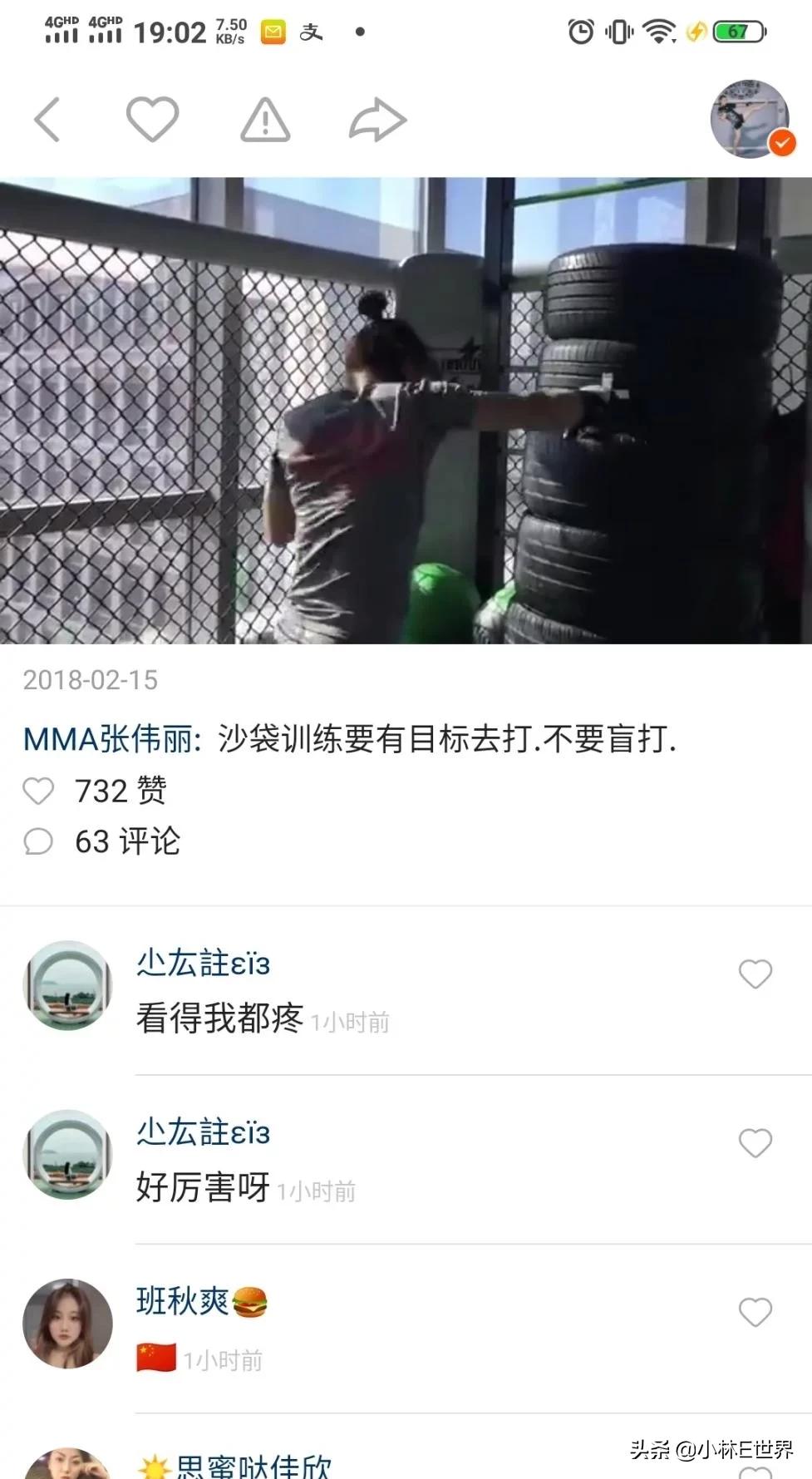 张伟丽和网红格斗,格斗女王张伟丽能打赢男士吗