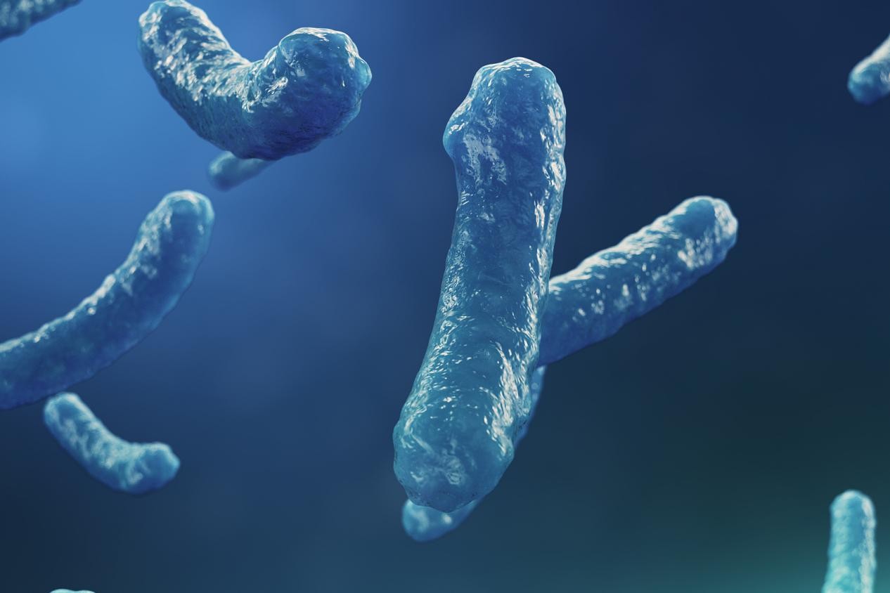 过敏体质吃什么可以调理,过敏体质吃什么能根治