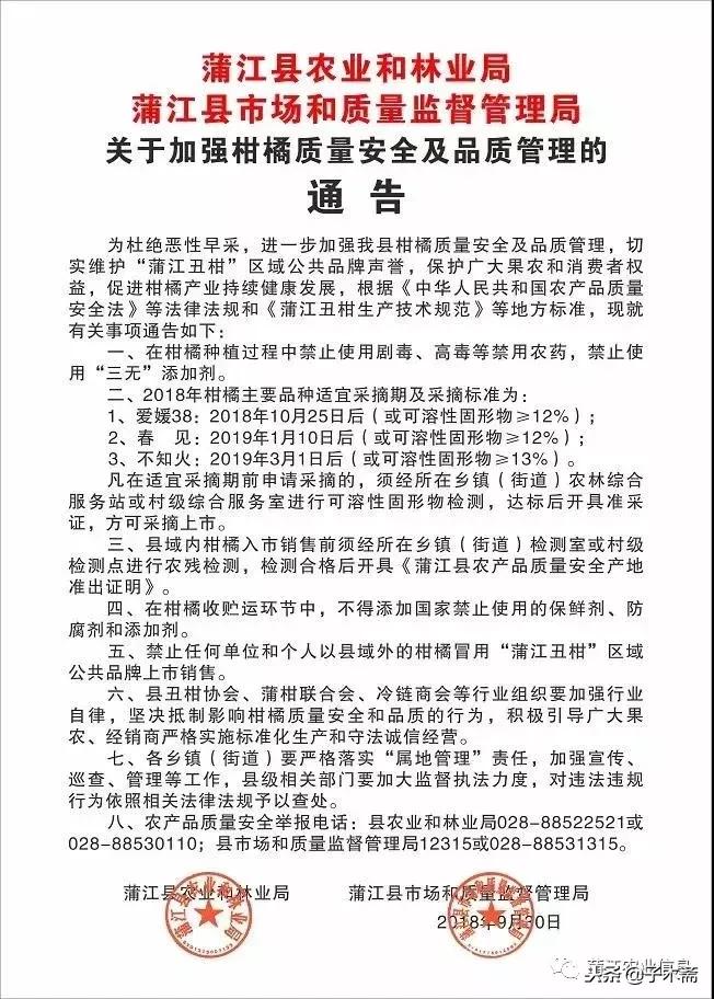 蒲江县柑橘买卖平台,11.29蒲江柑橘行情