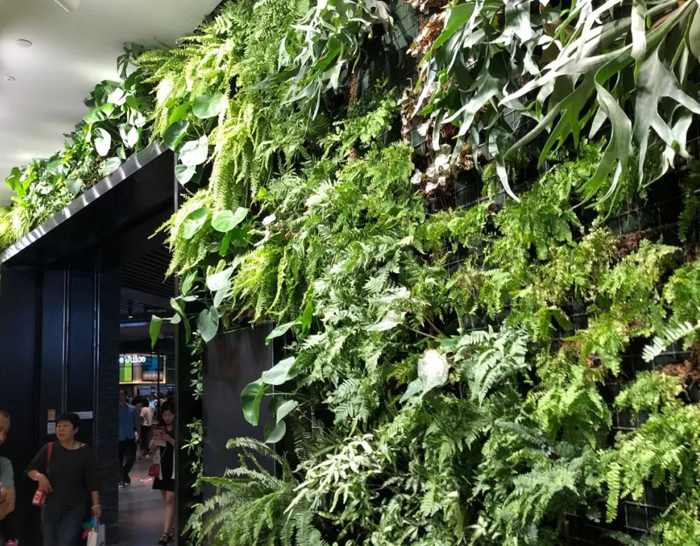 还没过节，济南这里已堵成了人山人海！最大规模的综合体开业！还有水哥王昱珩打造的绿植墙