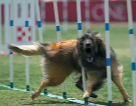 拍照模糊一招搞定,拍照模糊如何去掉