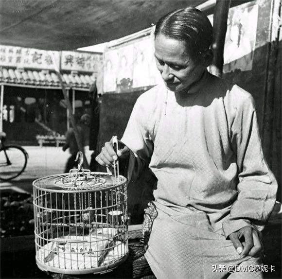 浅谈天津鸟市儿和鱼市儿,“提笼架鸟”安排上