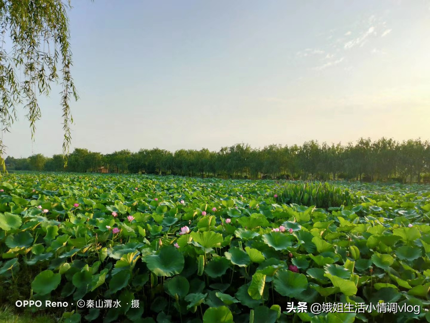 陕西眉县撤县最新消息,眉县撤县设市最新信息