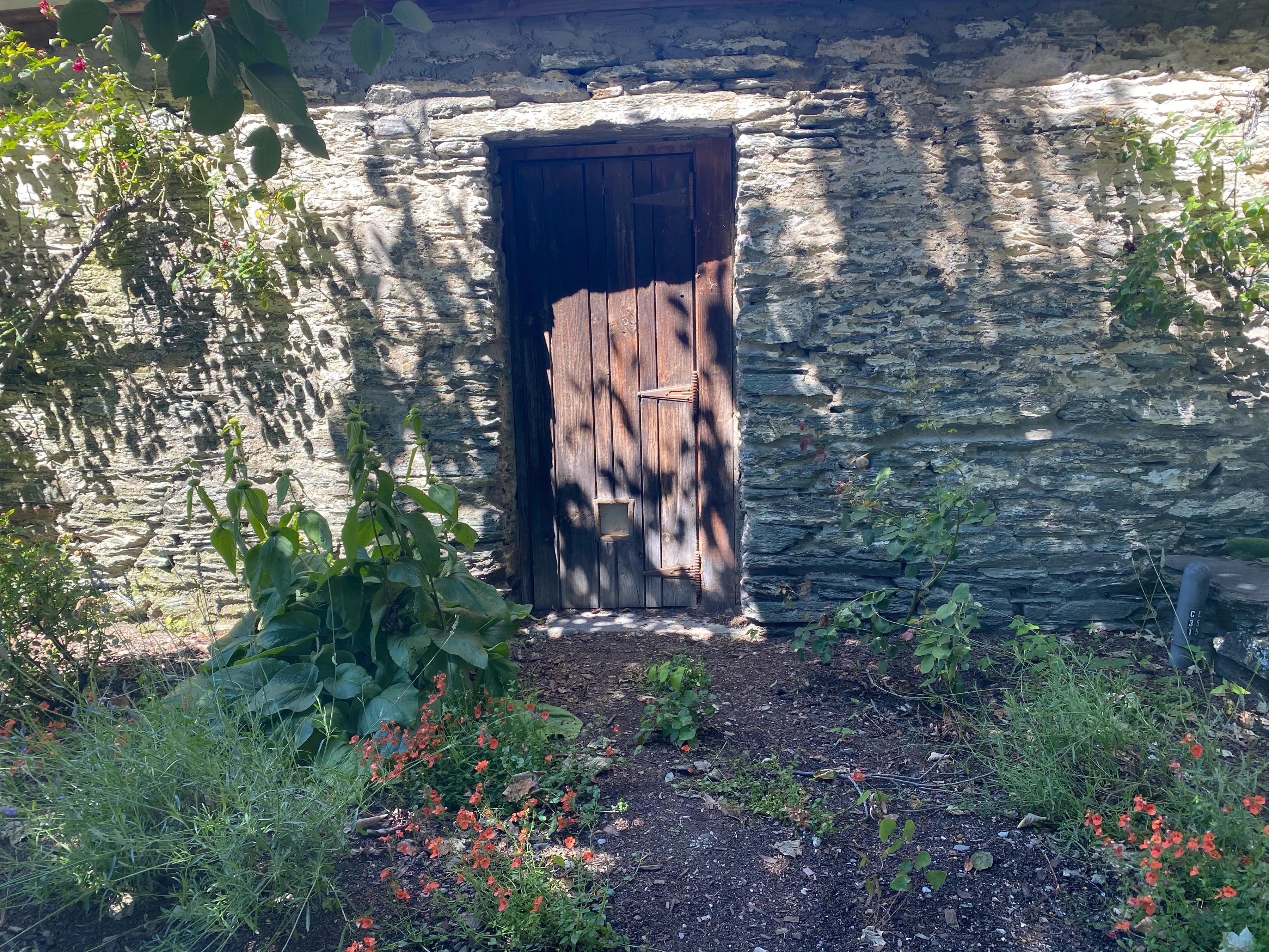 风吹过湖边,风吹过湖边柳树