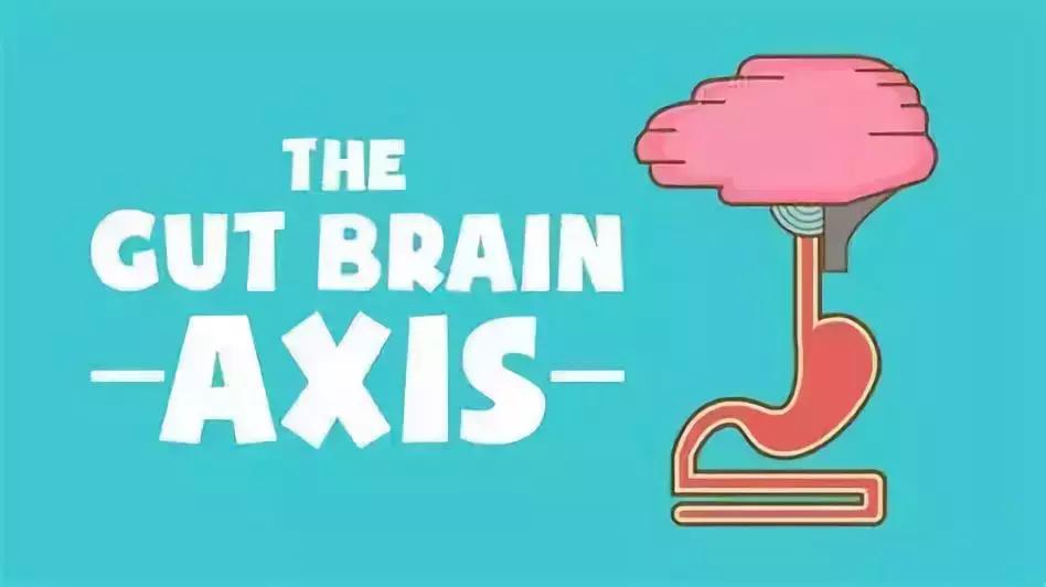 微生物脑肠轴介绍,微生物肠脑轴关系图