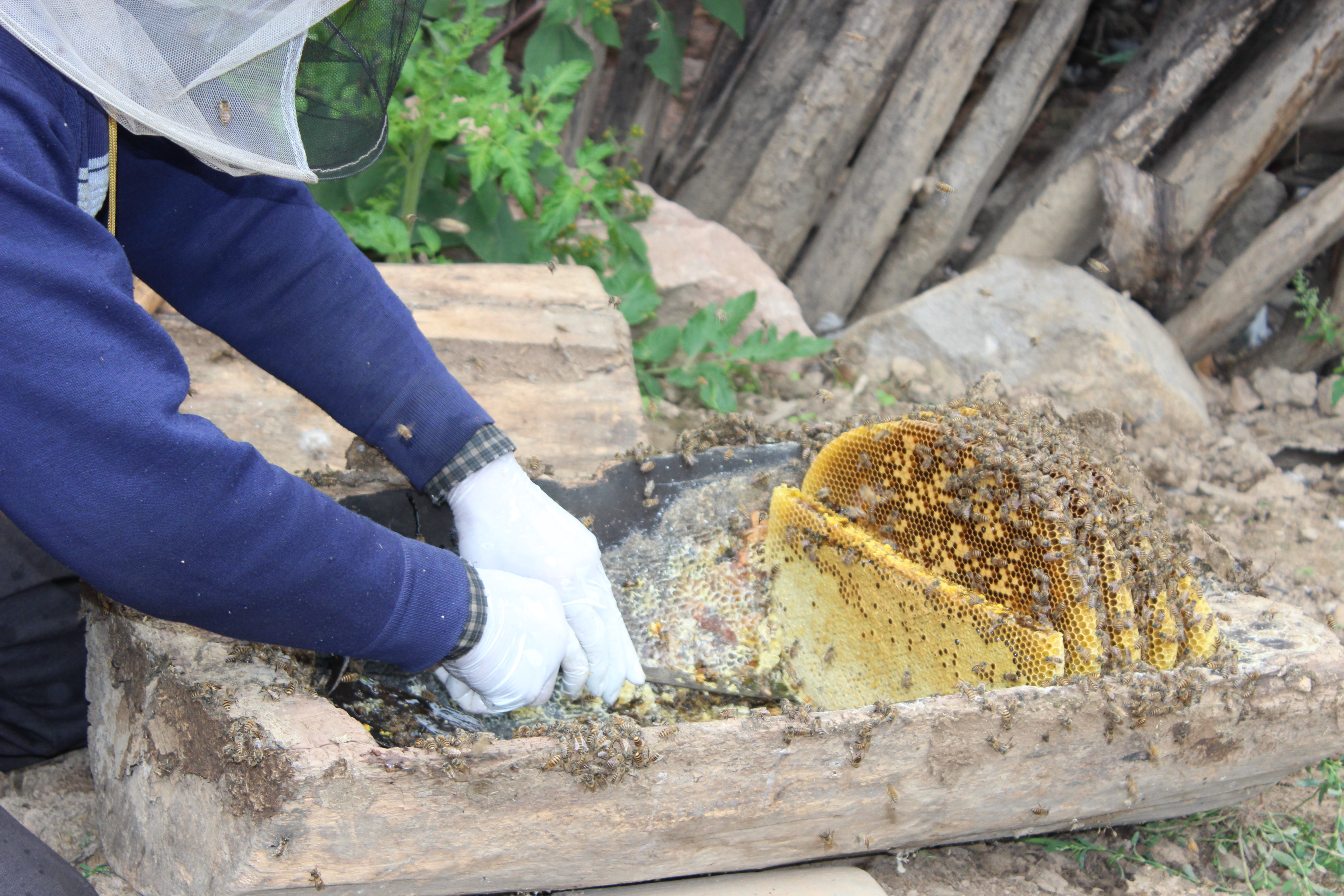 蜂蜜水早晨喝还是晚上喝,蜂蜜水什么时候喝最好问医生