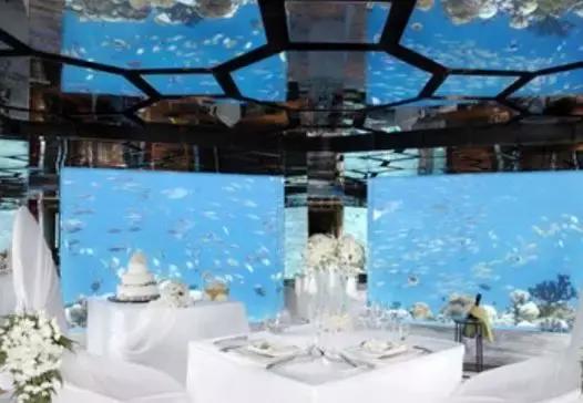 海底餐厅推荐大全,高级海底餐厅
