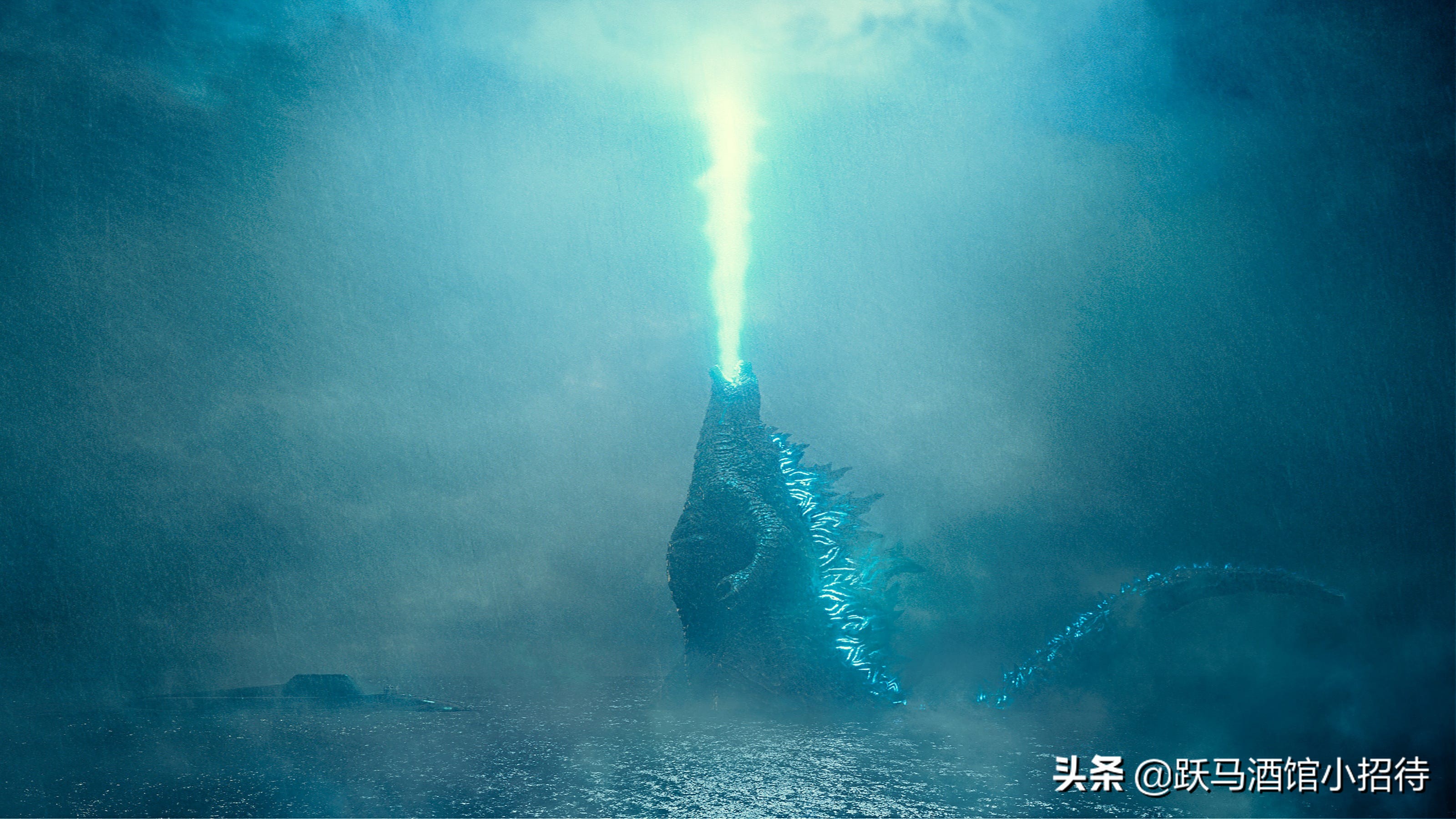 金刚大战哥斯拉怪兽电影解析,金刚哥斯拉大战怪兽