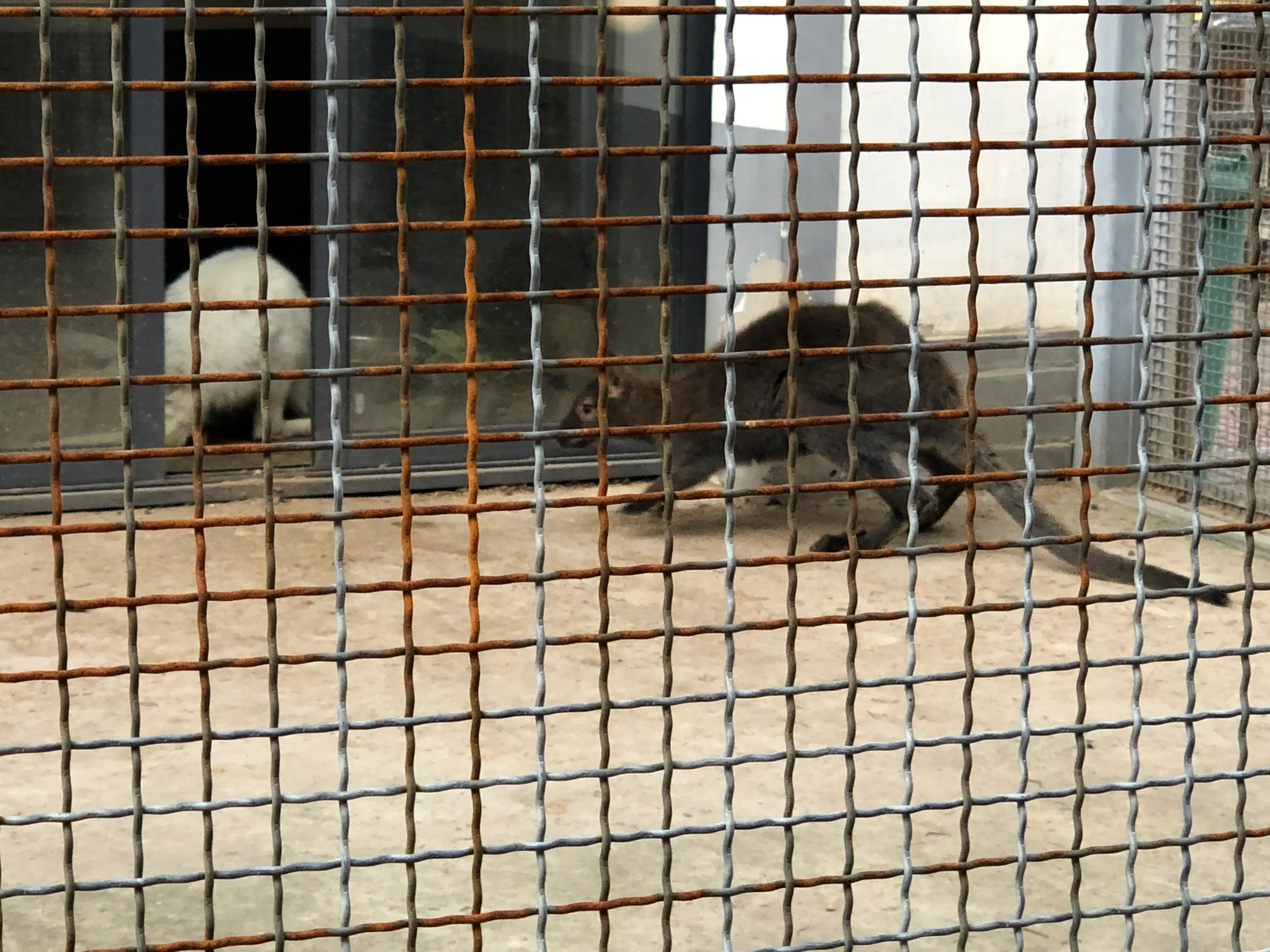 平顶山河滨公园旅游攻略,平顶山森林公园游记