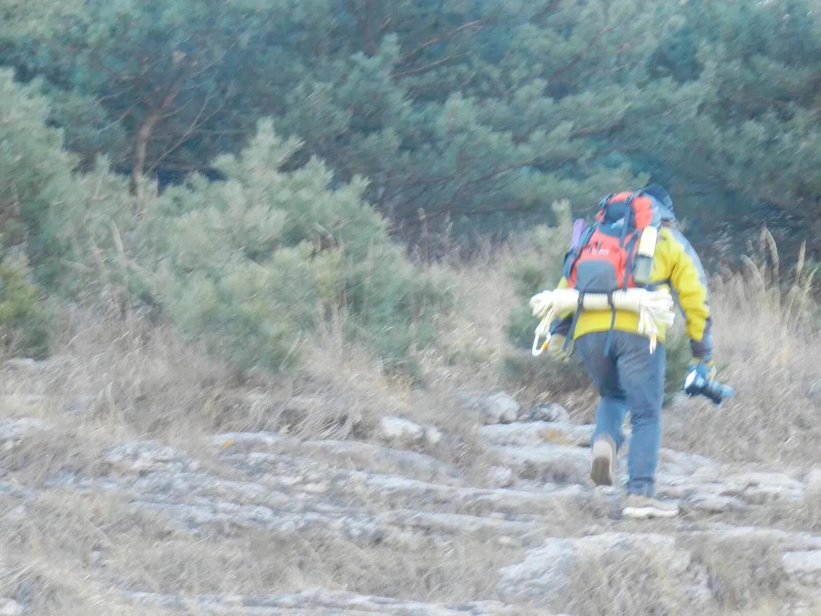在山里迷路遇到狐狸,在山里迷路遇到了好漂亮的小姑娘