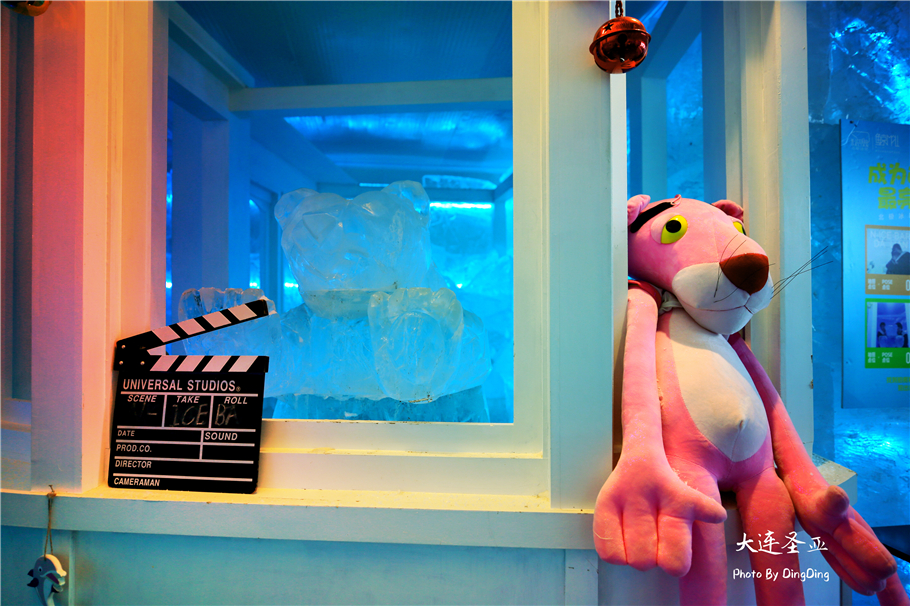 北方明珠活力四射的浪漫之都大连，国内最具特色的海洋世界圣亚