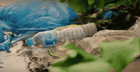 彭于晏苏有朋,彭于晏和苏有朋