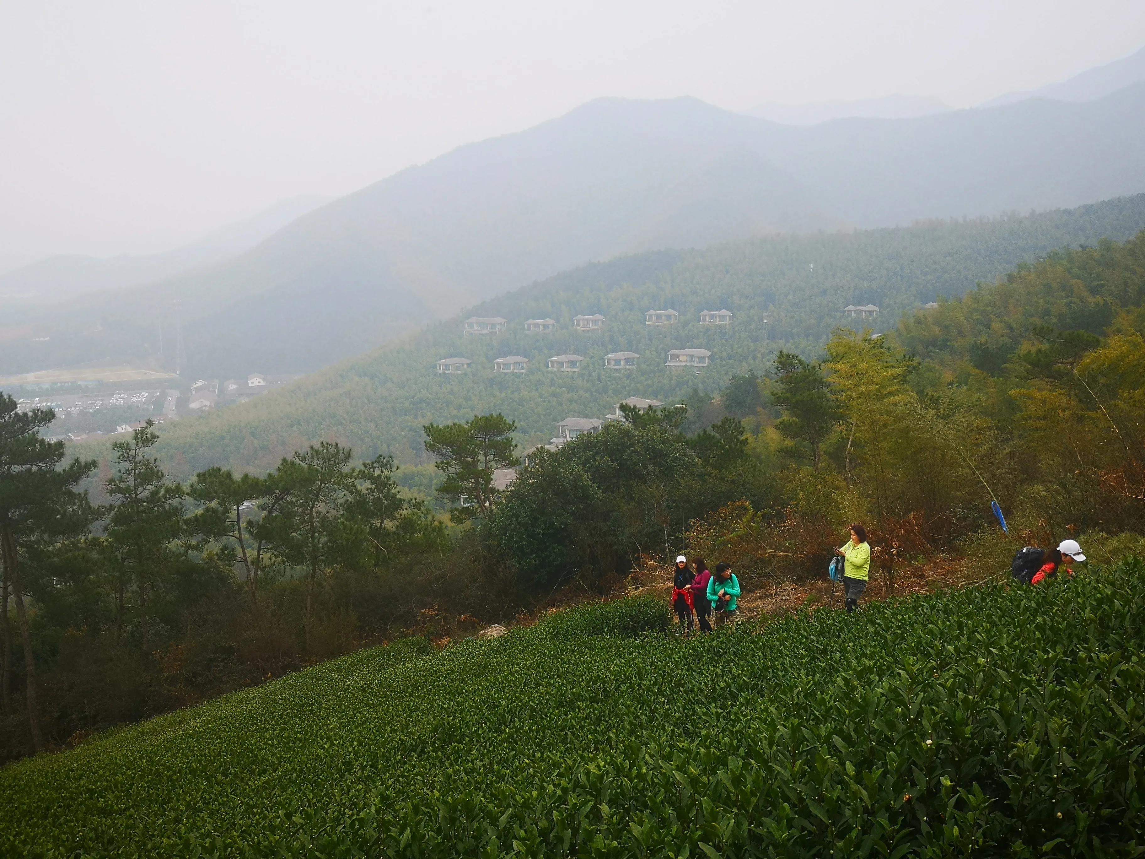 溧阳南山竹海小鸟天堂,宜兴南山竹海和溧阳南山竹海