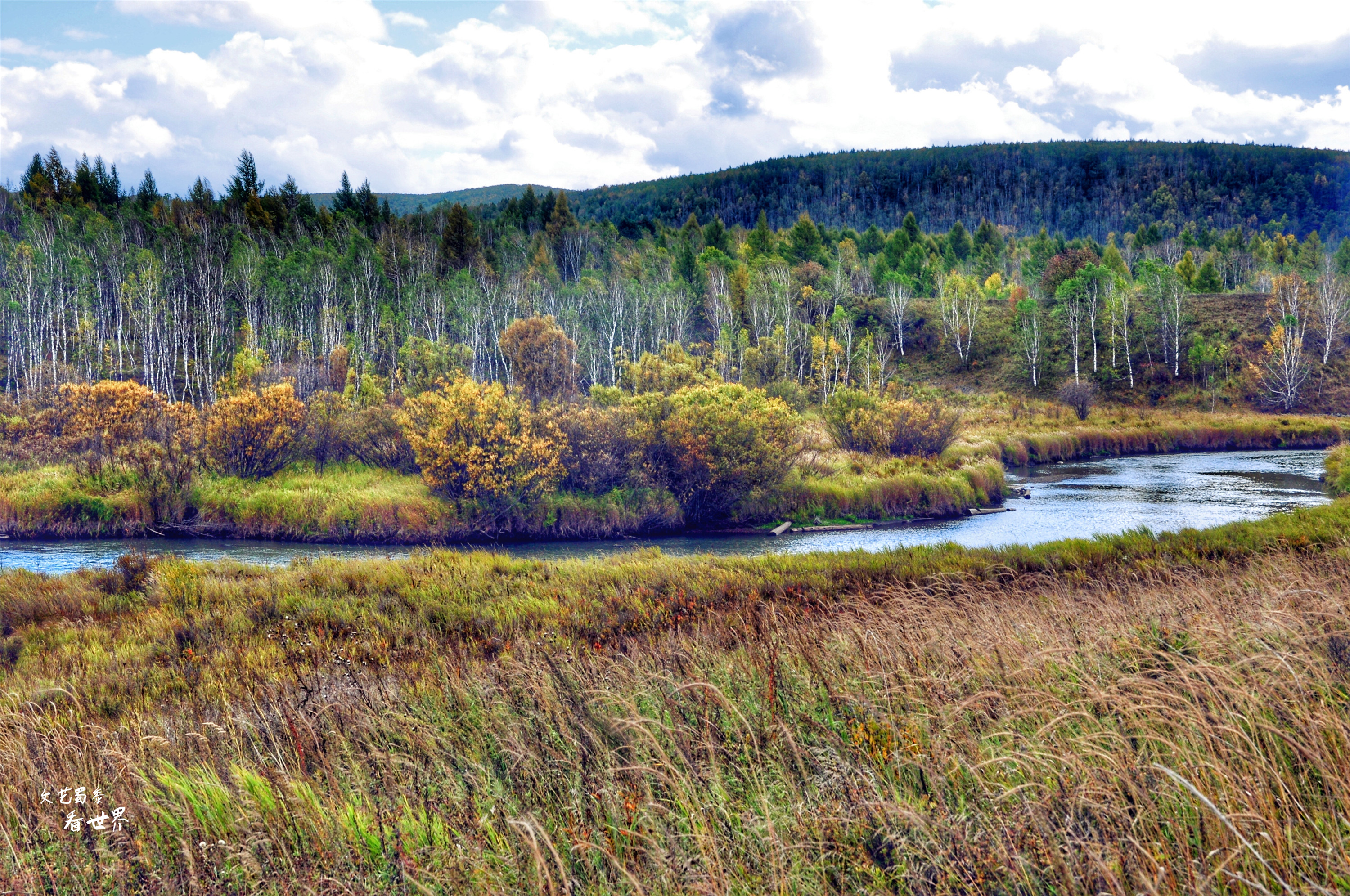 阿尔山的冬天就是童话世界,如果你第一次来到草原会感叹什么