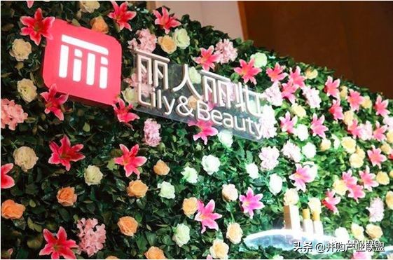 丽人丽妆上市定位分析,丽人丽妆近两年的盈利情况