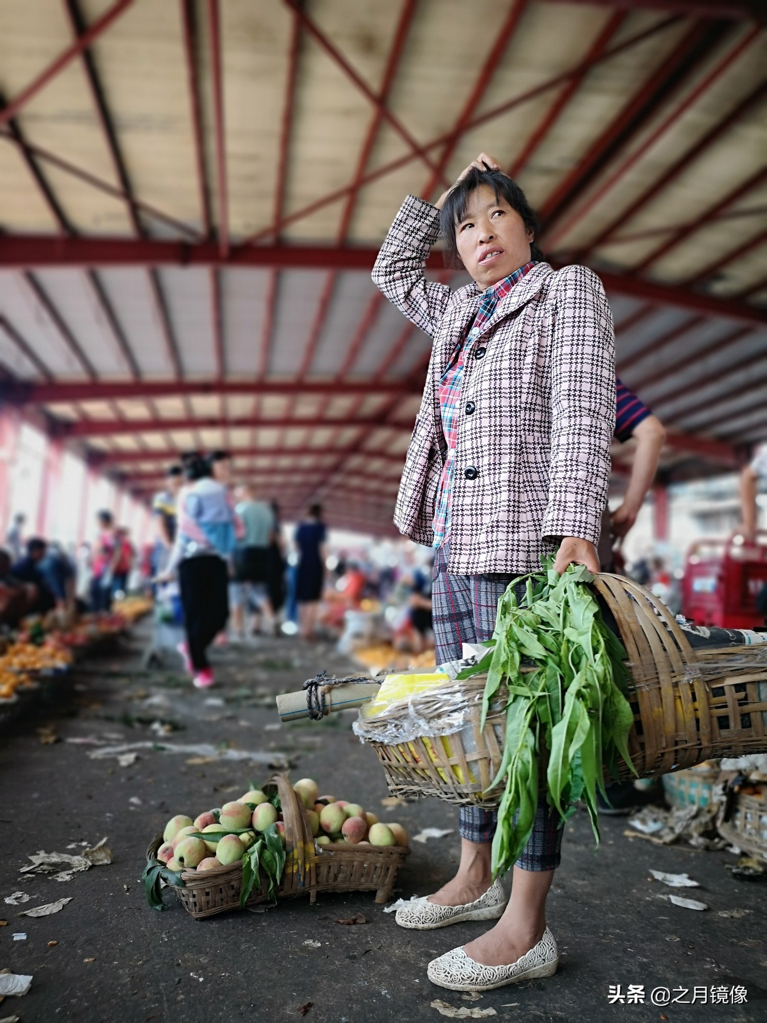 天府新区太平枇杷,成都太平枇杷批发市场
