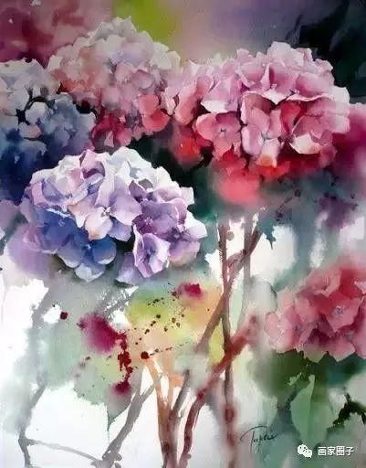 100种漂亮花卉图片,100张漂亮花图