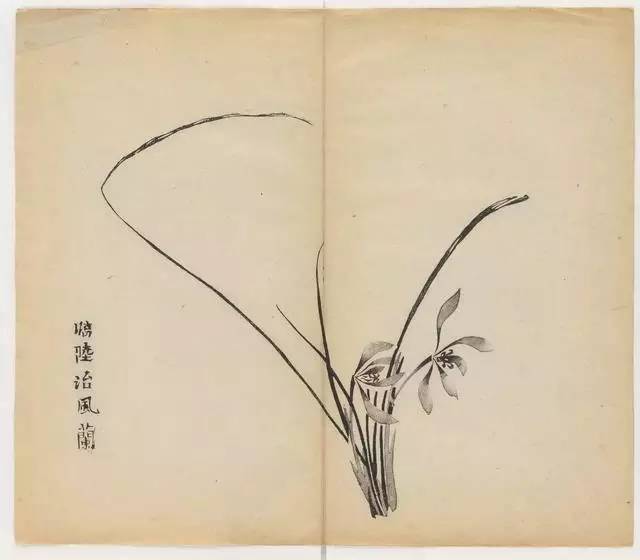 毛笔怎么画兰草,怎么画兰花和书法