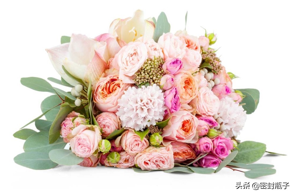 小本创业十大必学创业方法,最适合现在的小本创业