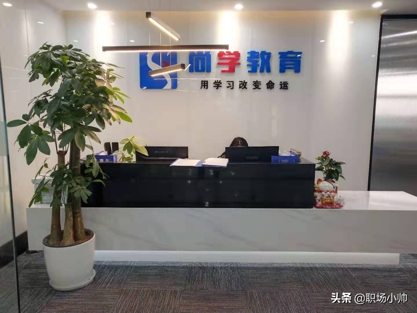 尚学教育口碑怎么样,尚学教育专业好吗