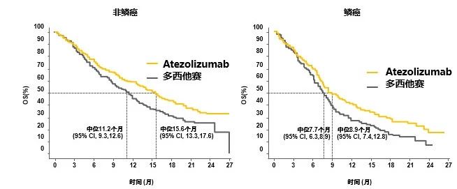 在艰难中前行的感悟,肺鳞癌治疗指南