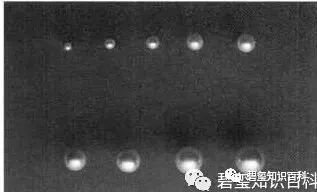 影响珍珠品质和价值的6大因素,你知道吗?