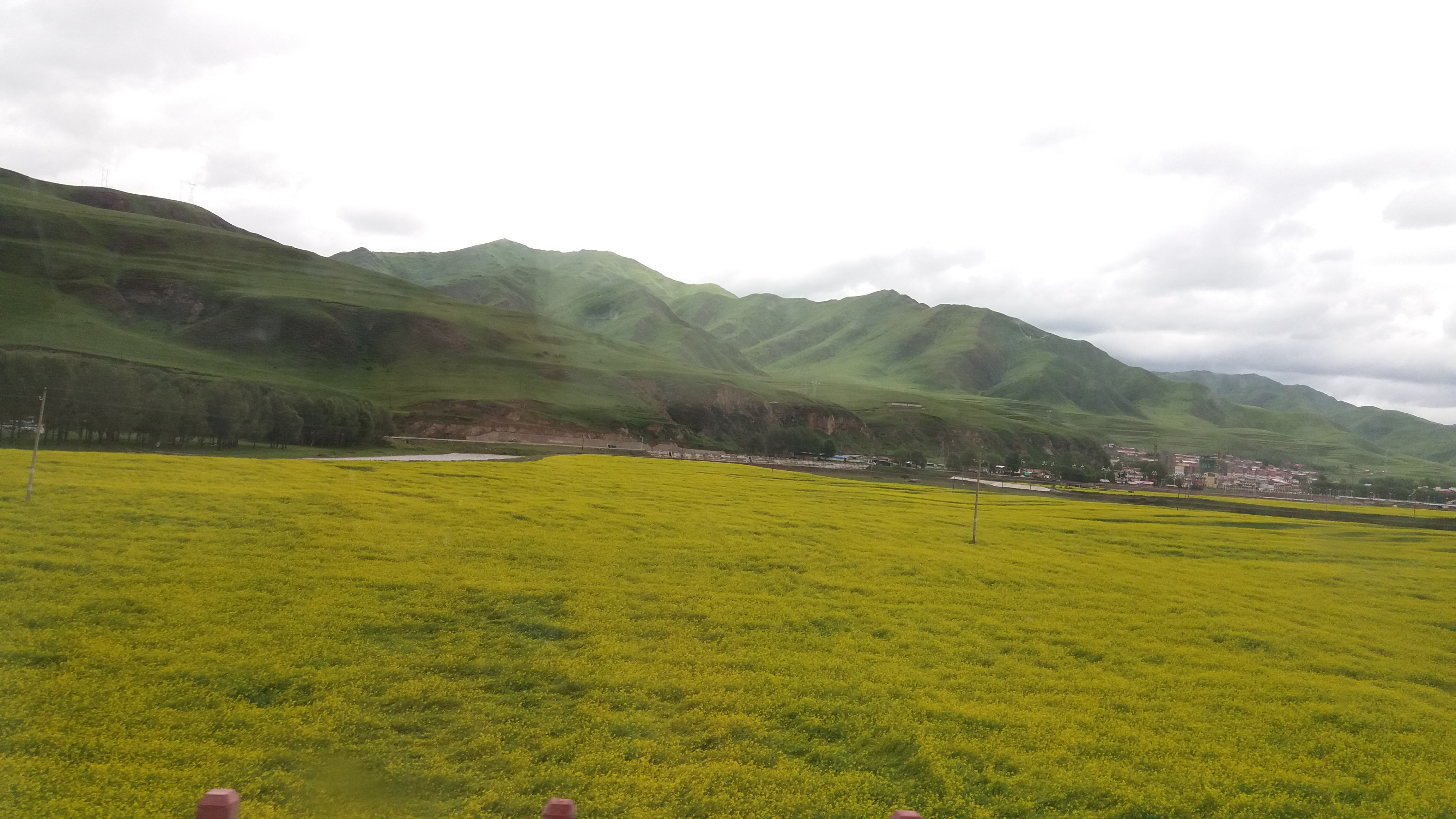 开启甘南秘境之旅,我的甘南之旅