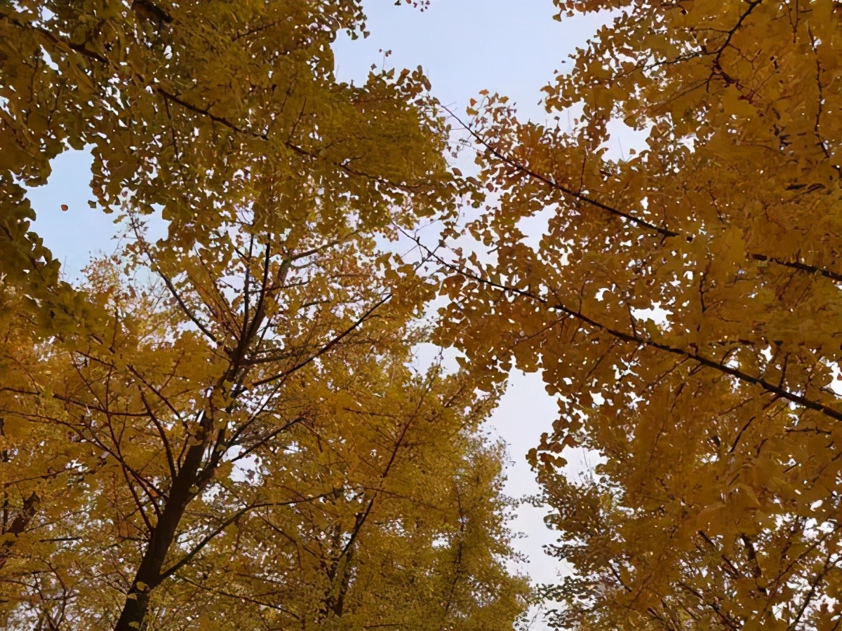 打卡北京十大古迹,打卡北京100个景点