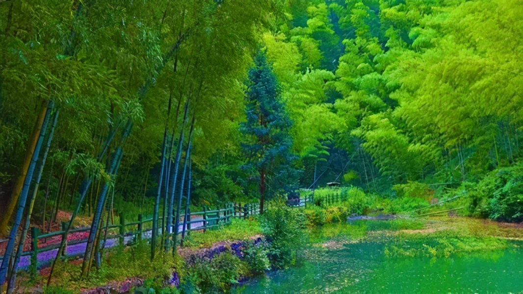 带着狗子旅行推荐,带着狗狗游新疆