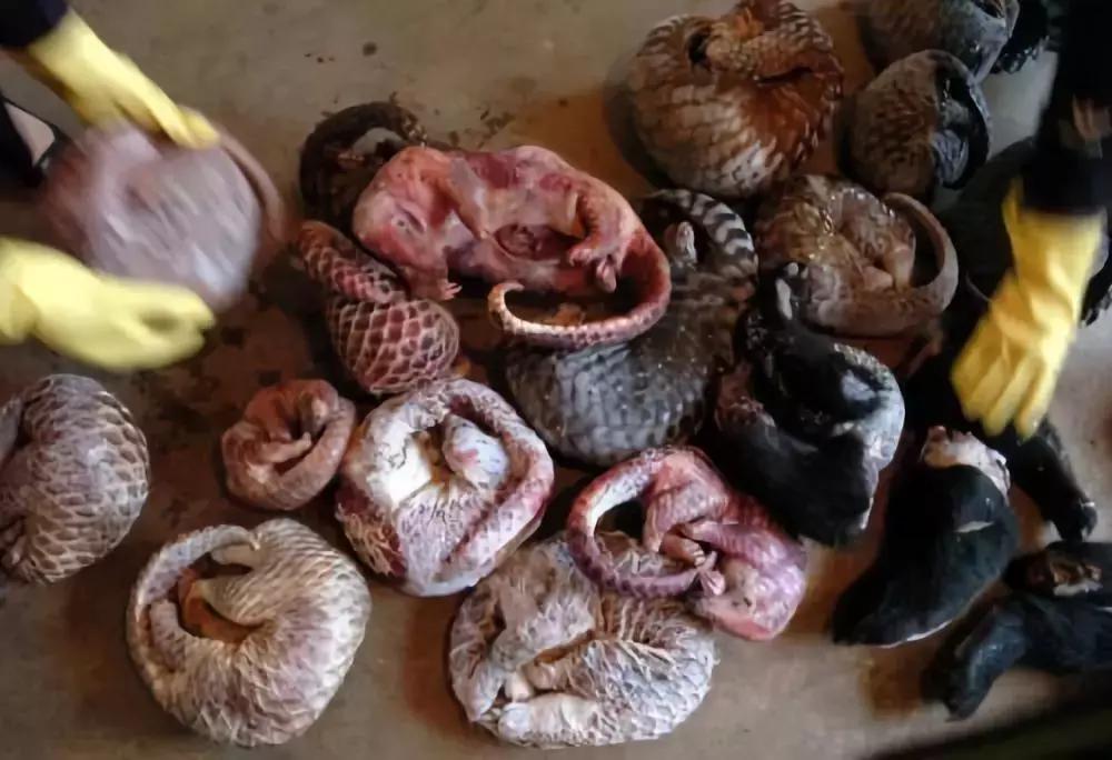 从孟晚舟事件你看到了什么,从孟晚舟事件中能看到什么