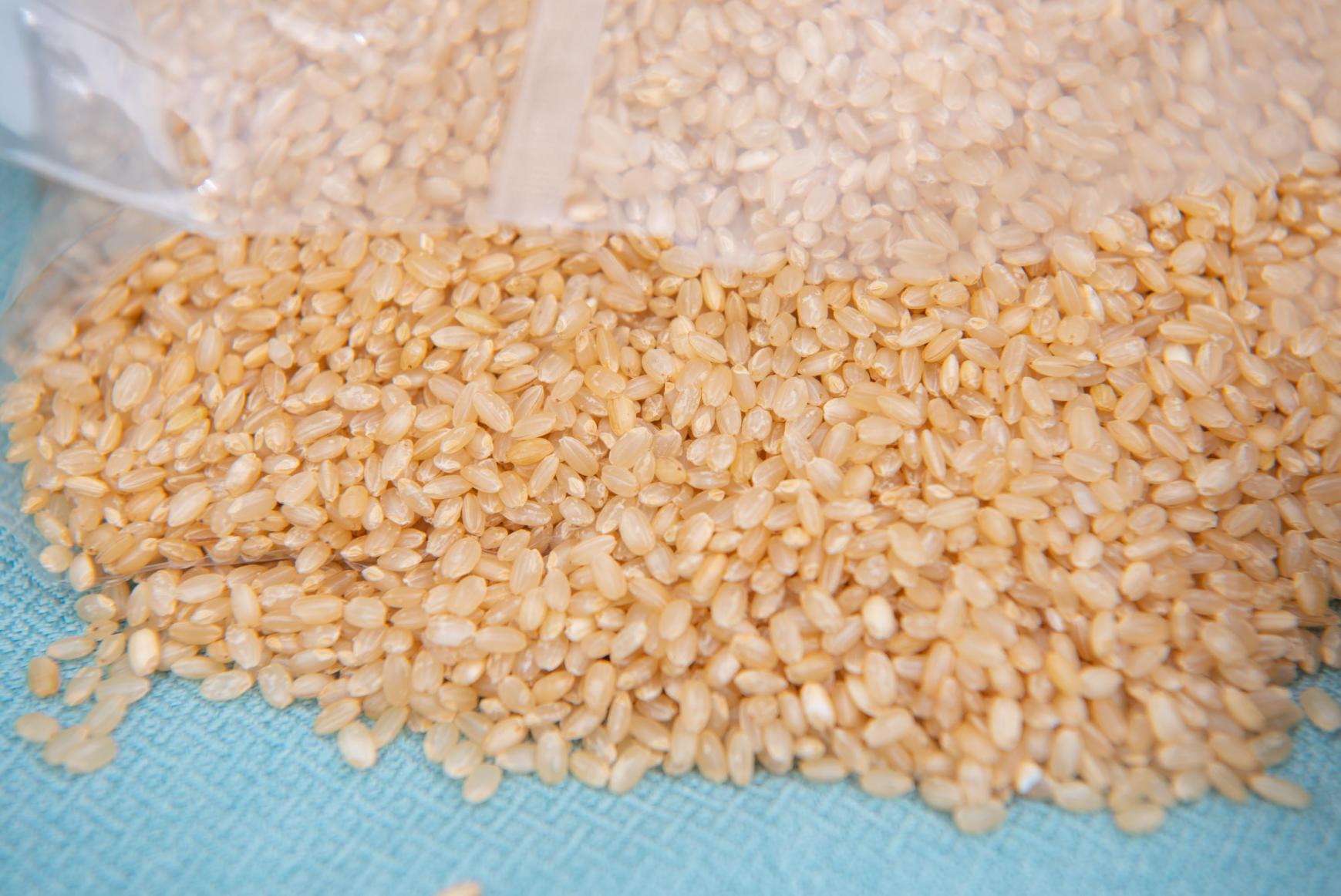 东芝rc-15ht电饭煲怎么煮饭,东芝ih电饭煲rc-10rmc怎么样