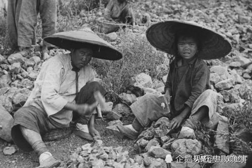 故事片透明的红萝卜完整版,透明的红萝卜有声小说免费