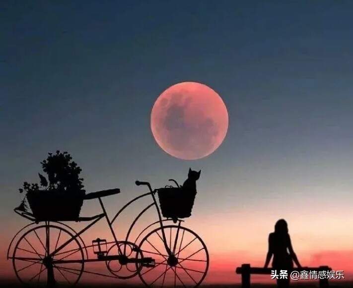 所谓知己,所谓知己是什么