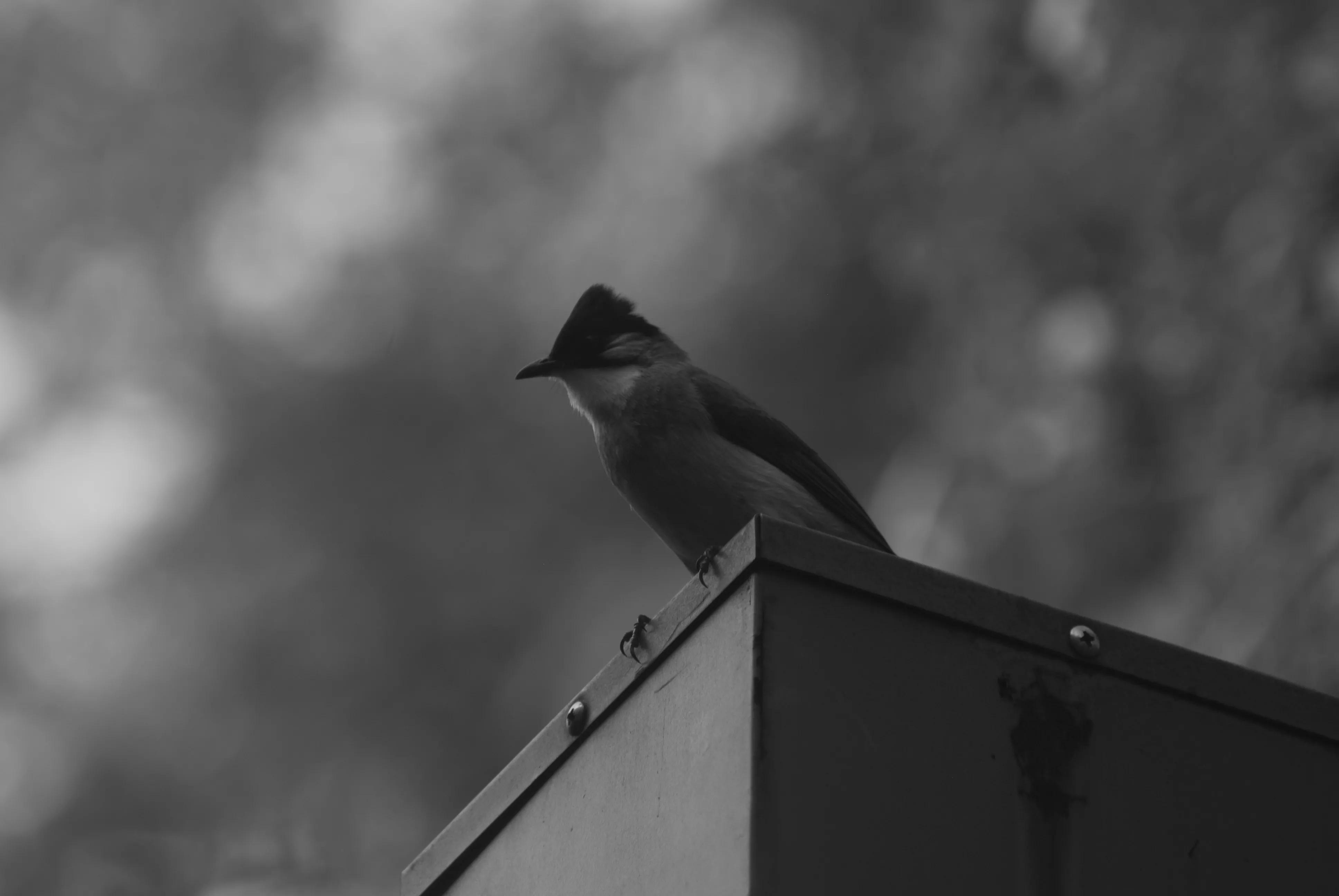 1000多的二手单反值得买吗,1000元左右二手单反全画幅