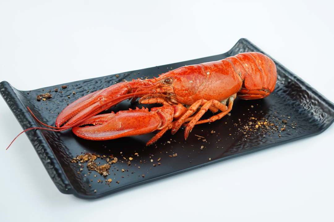 波士顿龙虾最高级的吃法,波士顿龙虾最新的吃法