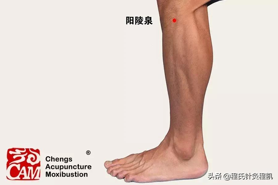 中医调理桥本甲状腺炎,甲状腺桥本最怕的穴位图