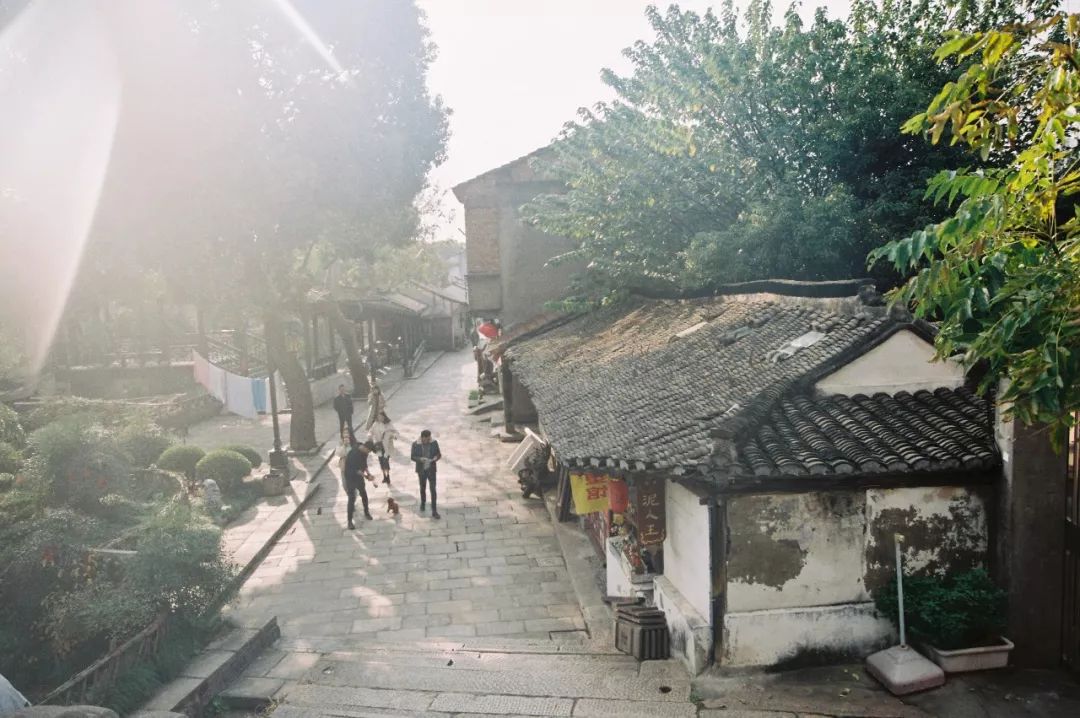 浦东人家门口的“小苏州”，低调美了800年！应该让全上海都知道