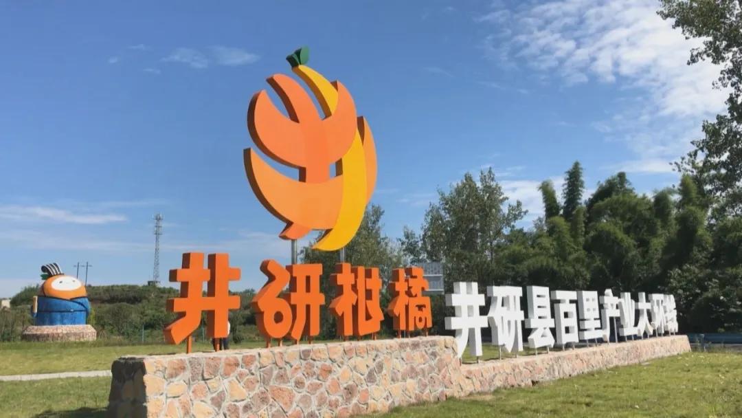 井研乡镇杂交柑橘栽培管理技术,井研柑橘项目的具体做法有哪些