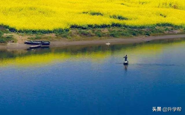 成都看花玩水,成都春游看花