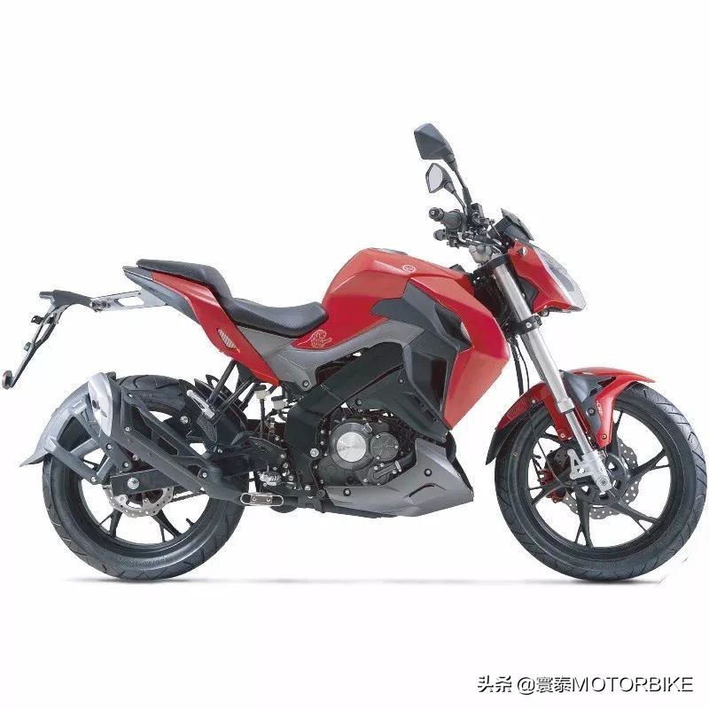 贝纳利小迅龙180s,新款贝纳利小迅龙180s