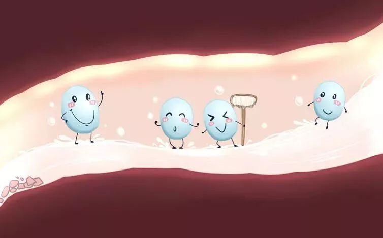 疫情蔓延，免疫力提高是关键！益生菌的秘密你应该要记住