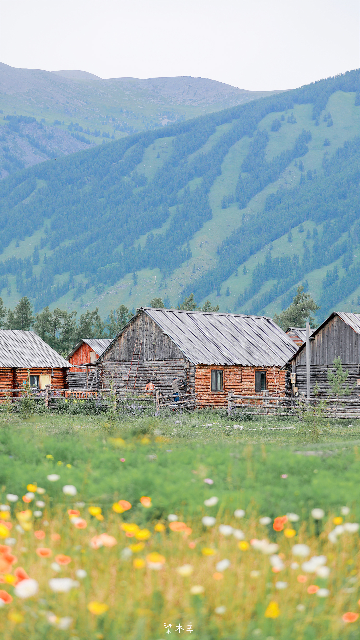 一些高质量手机壁纸（264），清新治愈系
