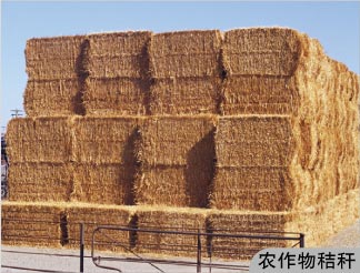 机制环保木炭机设备厂家,全自动环保机制木炭机