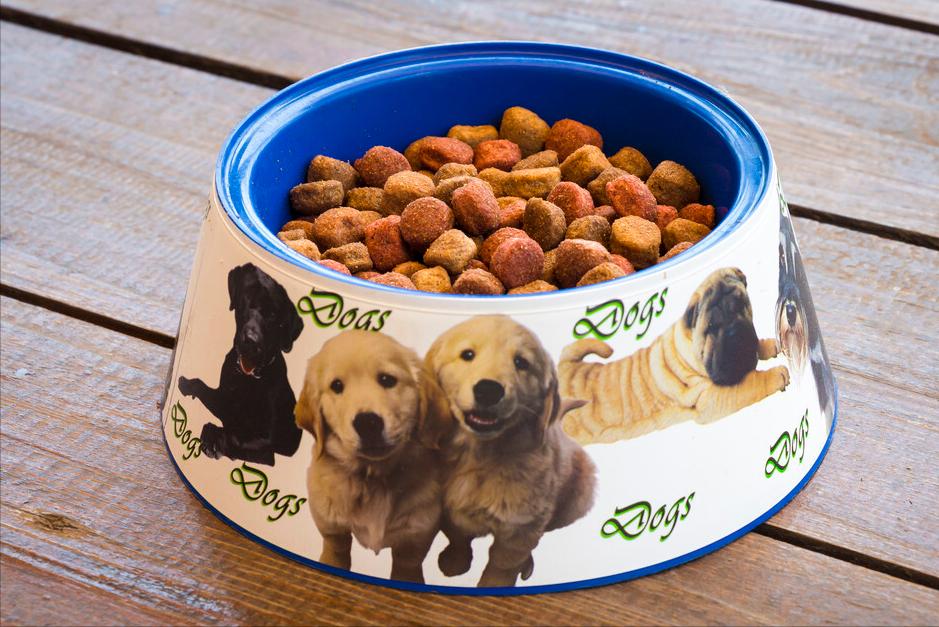 狗粮怎么挑选平价国产狗粮篇,如何帮狗狗挑选狗粮看配料表