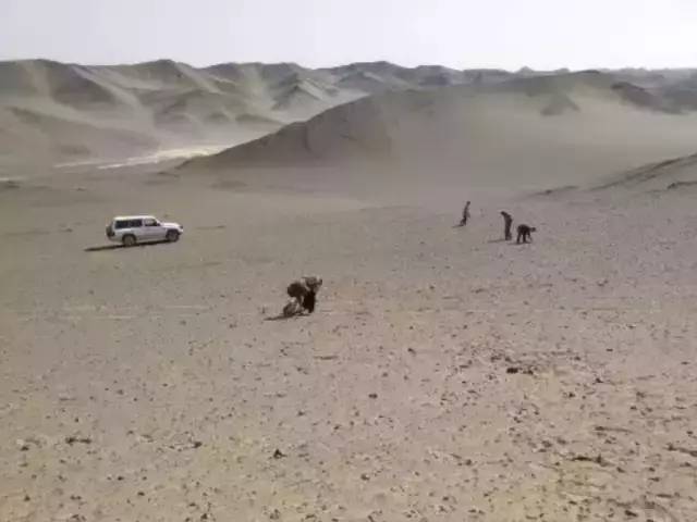 戈壁玉与戈壁石的区分,戈壁玉和戈壁石的区别