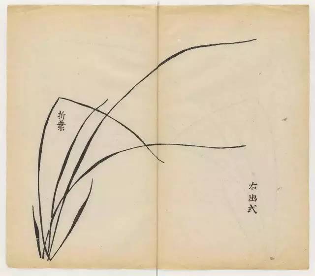 毛笔怎么画兰草,怎么画兰花和书法