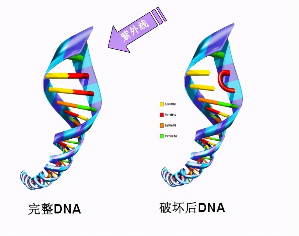 你的健康由我负责,美的智能加湿器无雾款