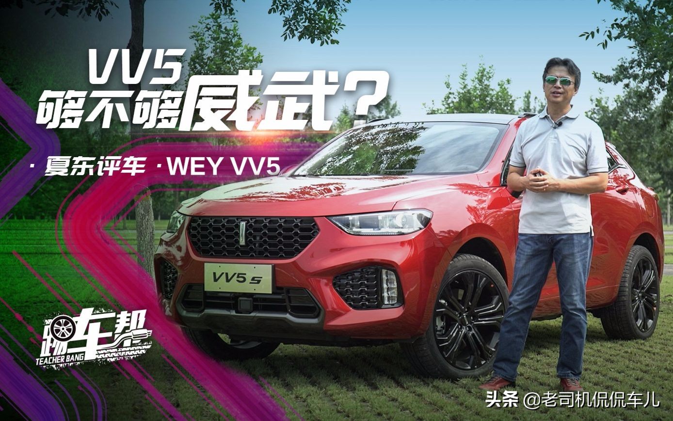 YYP、38、陈震、李老鼠、丈母娘等国内车评人，哪一个是你的菜？