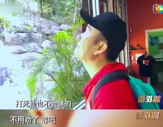 筷子兄弟正面回应是否解散,筷子兄弟回应解散